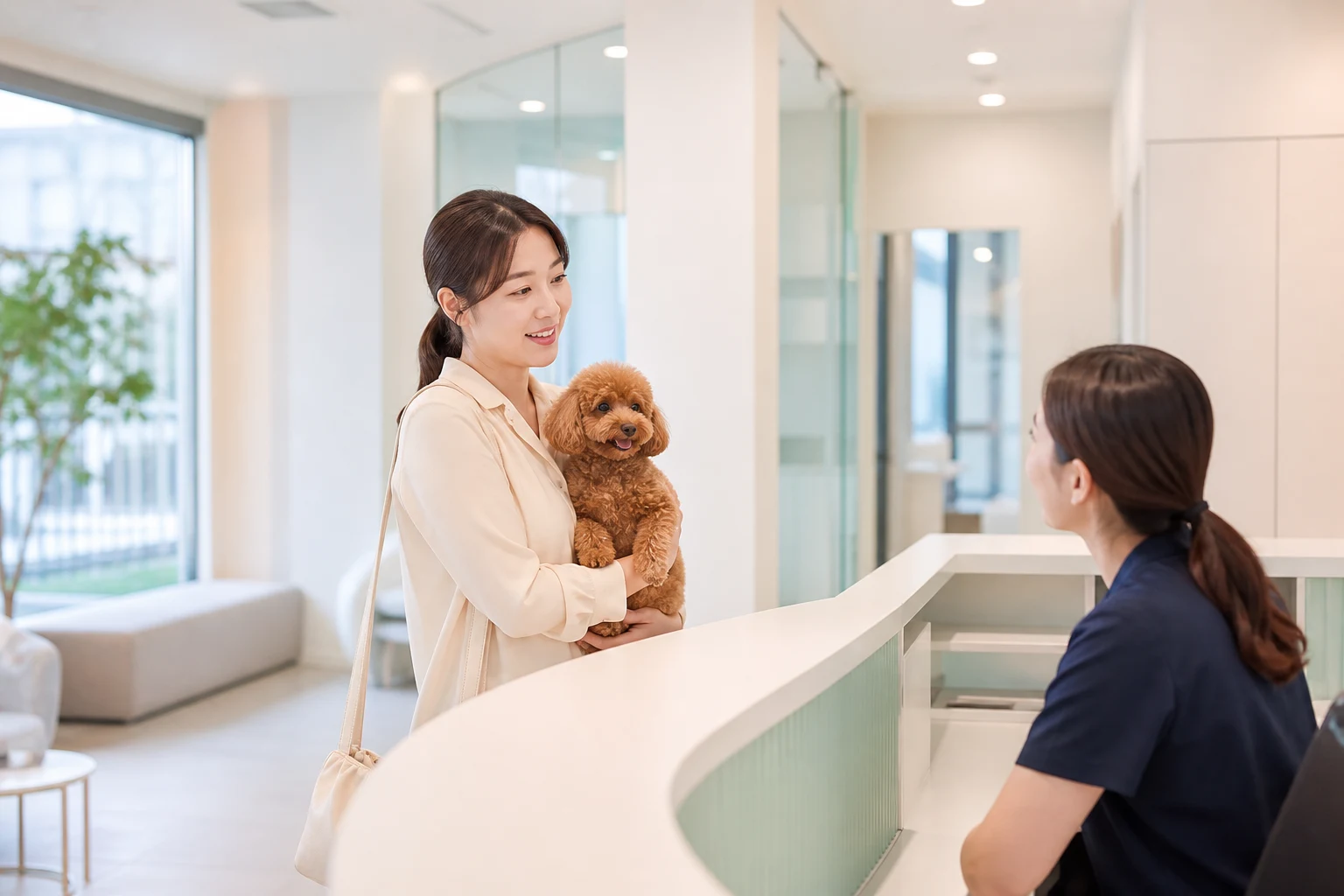 김해 심장사상충 예방 예방약 제형별 특징 참고 이미지