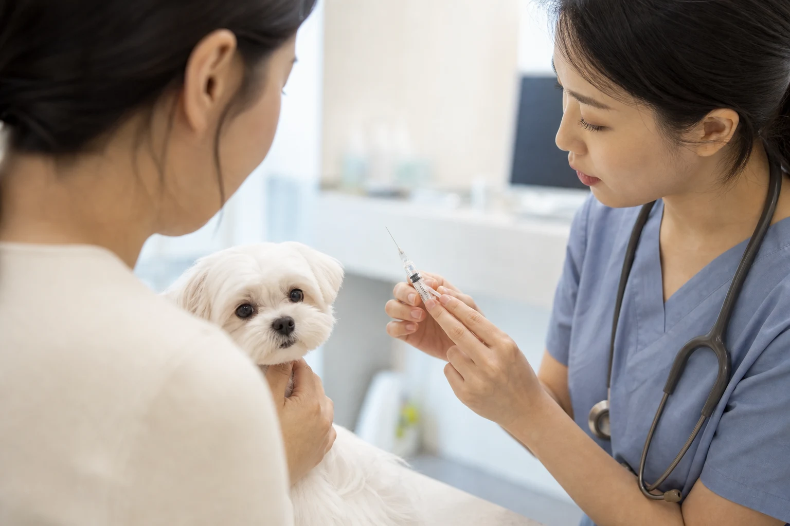 김해 고양이 예방접종 종합백신의 일반적 구성 참고 이미지