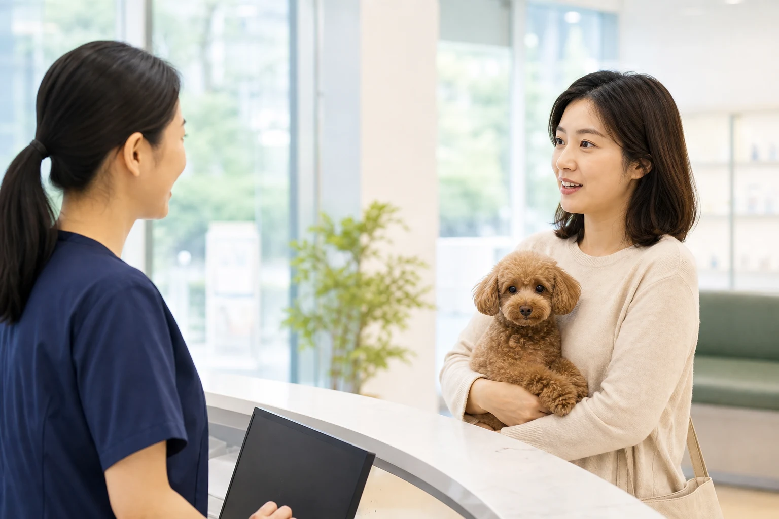 김해 강아지 중성화 비용 비용이 달라지는 구조 참고 이미지